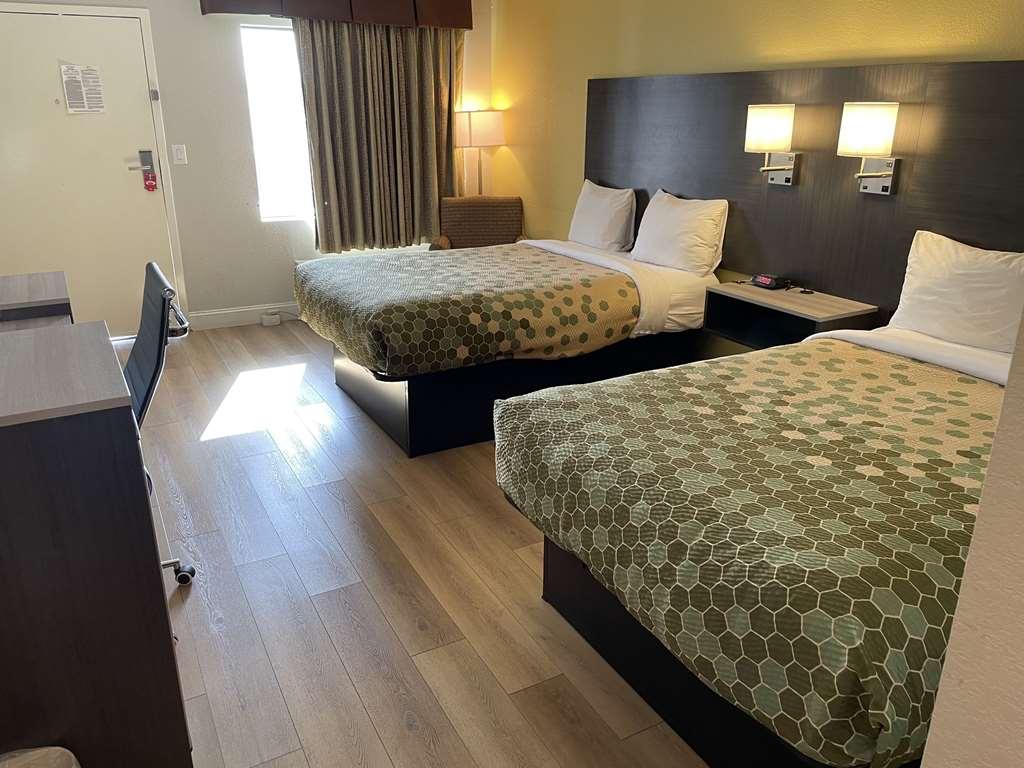 Econo Lodge White Pine Morristown I-81 & I-40 Split Rom bilde